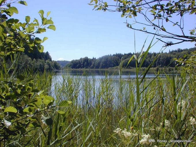 Lac du Petit Maclu, deserto, Giura - Franca Contea, Francia