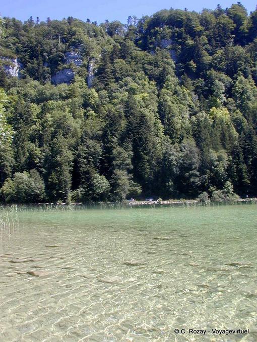 Lagune verdi di Grand Lake Maclu a Le Frasnois, Jura - Franca Contea, Francia