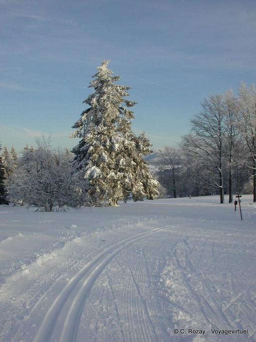 Solitude piste per lo sci di fondo, Haut Doubs - Franca Contea, Francia