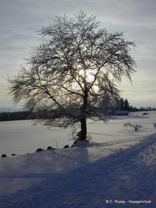 Sole e neve in Haut-Doubs, chiunque? - Franca Contea, Francia