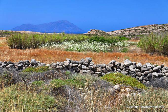 Milos, Agios Georgios, rustica bellezza - Grecia