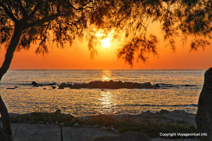 Milos, Pollonia, tramonto su una tamerice - Grecia