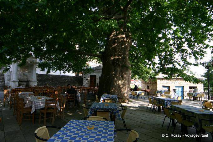 Terrazza sotto un albero gigantesco, Pinakates, Pelion - Grecia