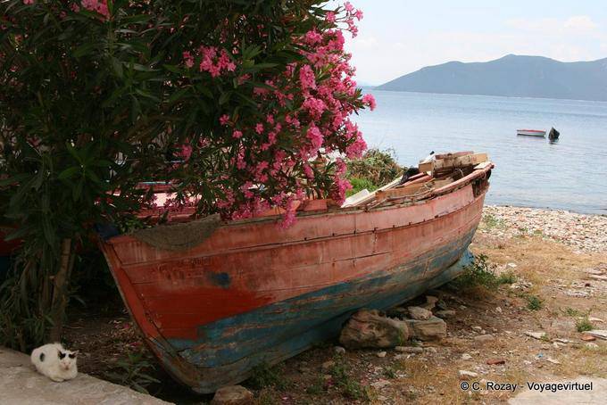 Il gatto e la vecchia barca, Trikeri, Agia Kiriaki - Grecia