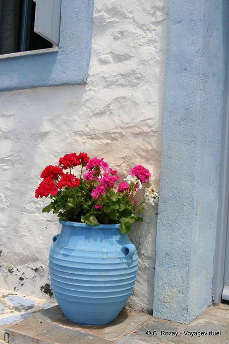Pot geranio, Trikeri, Agia Kiriaki - Grecia