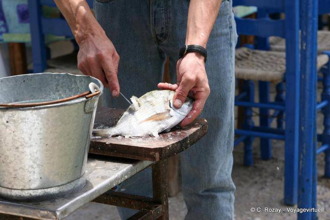 Preparazione di pesce, Trikeri, Agia Kiriaki - Grecia