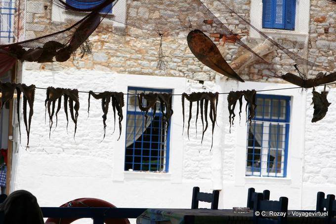 Polpo su un filo che è asciugato, Trikeri Agia Kyriaki - Grecia