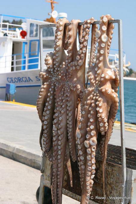 Polpo essiccazione sulla porta, Poros - Grecia