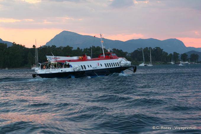 Volare Dolphin tra le onde, Poros - Grecia