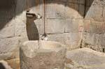 Fontana di pietra, Hosios Loukas, Grecia.