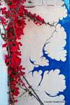 Milos, Plaka, pittura murale e bouganville, Grecia.
