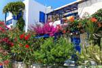 Milos, Pollonia, facciata floreale, Grecia.
