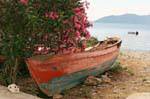 Il gatto e la vecchia barca, Trikeri, Agia Kiriaki, Grecia.