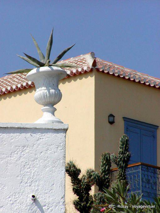 Angoli e succulente, Spetses - Grecia