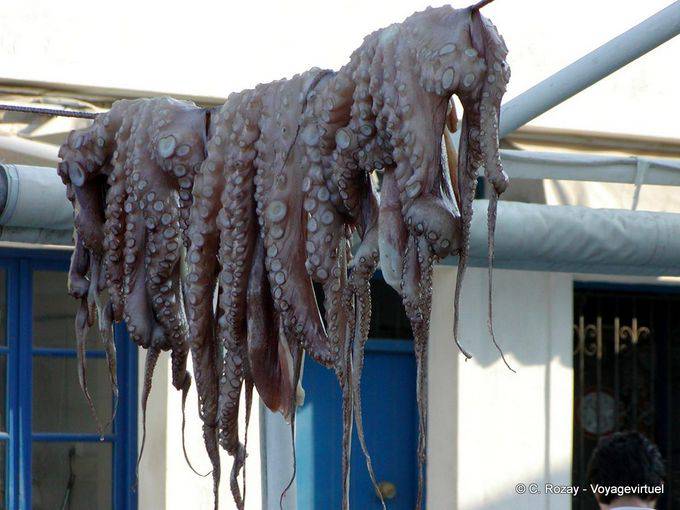 Asciugatura polpo, Spetses - Grecia
