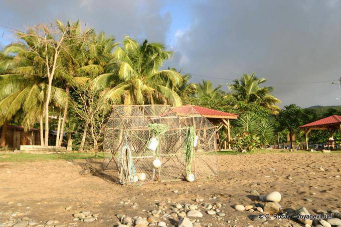 Bin sulla spiaggia bagnata dal sole dei Caraibi, Bouillante - Guadalupa