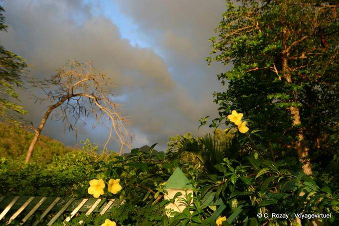 Nuvole, fiori e luce di sera, a Pointe-Noire - Guadalupa