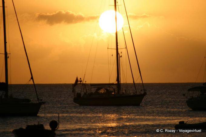 Sole che tramonta dietro un albero per barche a vela, Deshaies - Guadalupa