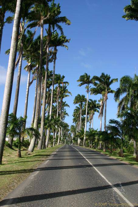 Driveway Dumanoir, Capesterre Belle-acqua - Guadalupa