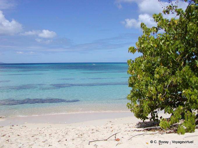 Sabbia bianca e mare caraibico, spiaggia di Anse du Souffleur, Port Louis - Guadalupa