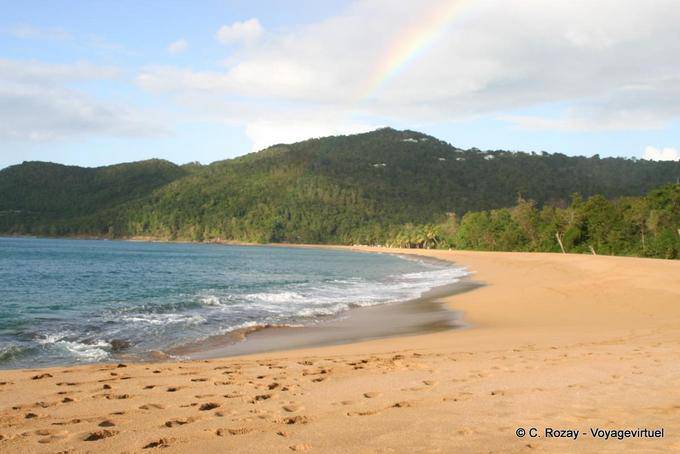 Vista panoramica della spiaggia di Grand Anse, Deshaies - Guadalupa