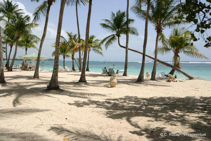Sotto gli alberi di cocco, il Caravelle Beach, Sainte-Anne - Guadalupa