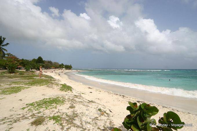 Sulla spiaggia, tra Saint Anne e Saint-François - Guadalupa