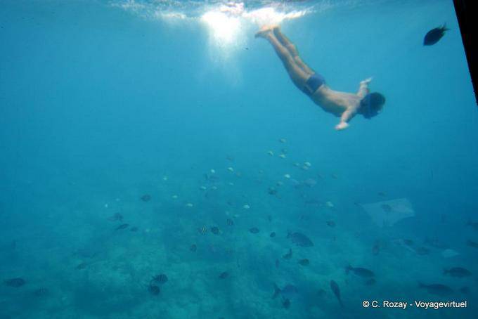 Diver e snorkeling, Pigeon Îlets - Guadalupa