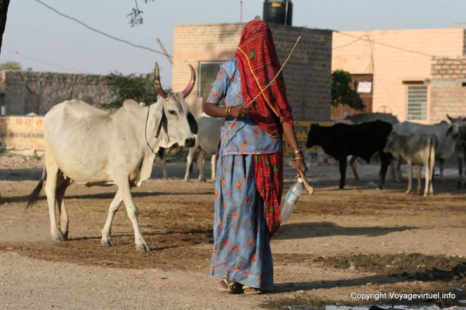 Luni In The City - India