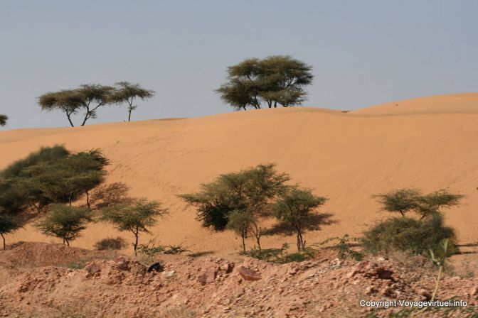 Pokaran Road Dunes Du Thar - India