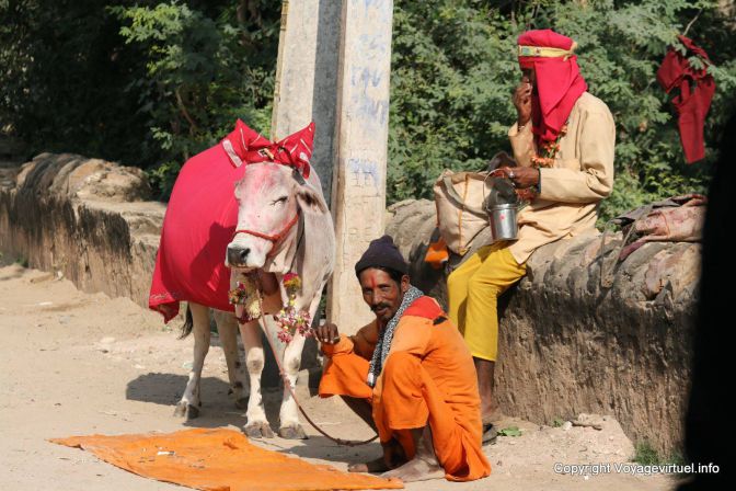 Pushkar - India