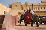 Jaipur amber palace.