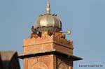 Nagaur.