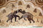 Nagaur ahhichatragarh fort paints peintures.