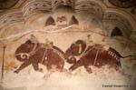 Nagaur ahhichatragarh fort paints peintures.