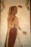 Nagaur ahhichatragarh fort paints peintures.