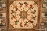 Nagaur ahhichatragarh fort paints peintures.