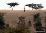 Pokaran road passant du desert.