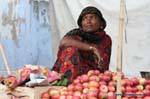 Pushkar.