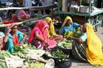 Pushkar.