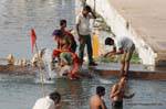 Pushkar les ghats lac sacre.