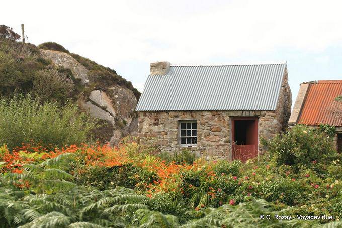 Tipico cottage e felci, Donegal Rosses - Irlanda