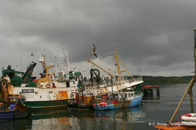 Barche da pesca nel porto di Killybegs, Donegal - Irlanda