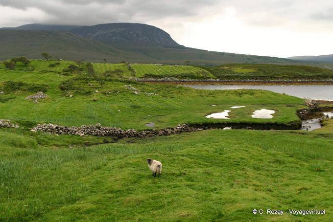 Paesaggio sulla strada per Mulranny, Mayo - Irlanda