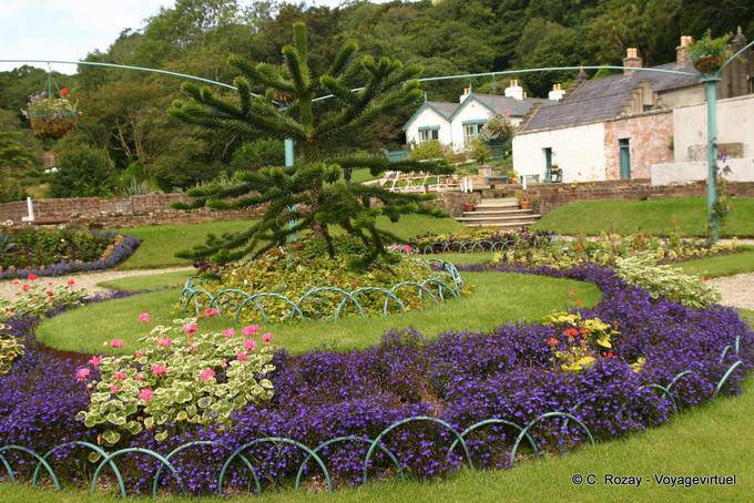 Parterre e Araucaria nel giardino vittoriano, Connemara Kylemore Abbey - Irlanda