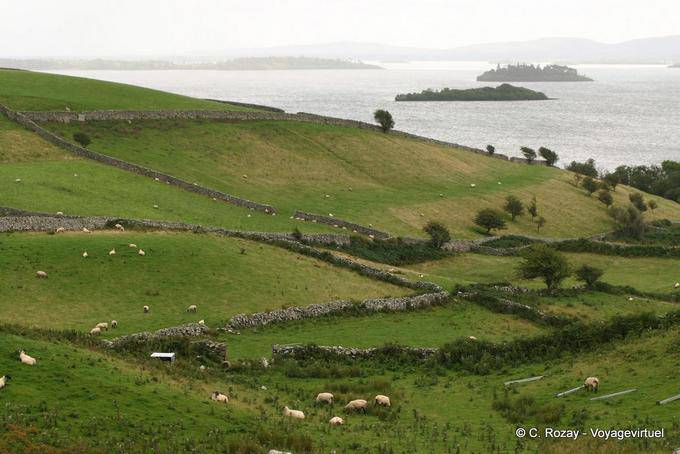 Isole di Lough Corrib a Cornamona, Connemara - Irlanda