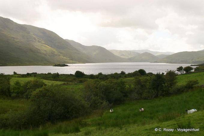 Lago circondato da montagne, Connemara - Irlanda