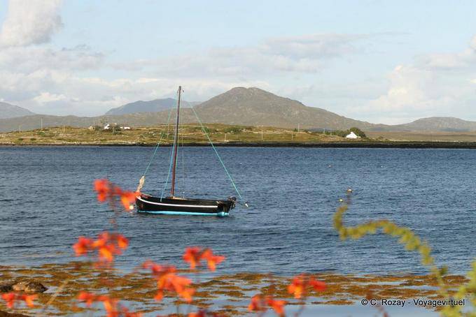 Hooker attesa Regata, Roundstone, Connemara Galway - Irlanda