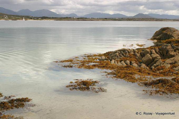 Acquarelli a Ballyconneely, Connemara - Irlanda