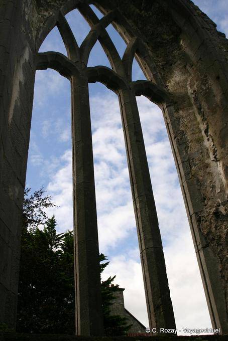 Impressionante architettura del Couvent des Cordeliers (Convento Francescano), Abbazia di Ennis - Irlanda